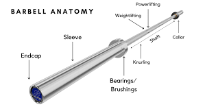 Nfinity Olympic barbell - Nfinity | Fitness and gym equipment | Dumbbells | Plates