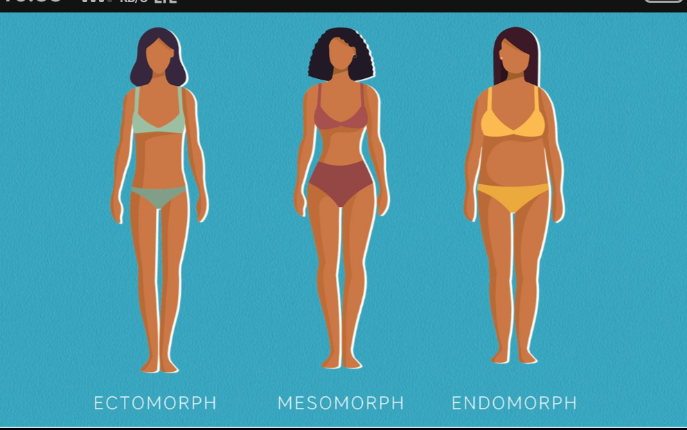 body types, picture credits: everydayhealth.com