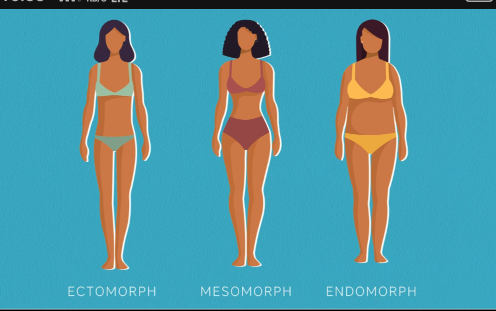 Body Types- Which One Are You ?